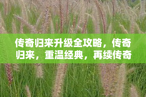 传奇归来升级全攻略图片