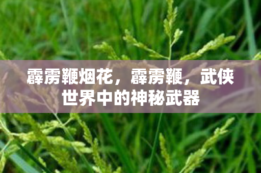 武侠世界中的神秘武器图片