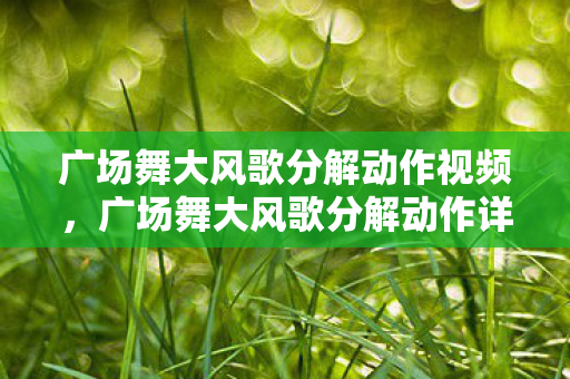 广场舞大风歌分解动作视频图片