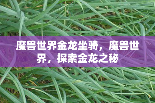 魔兽世界金龙坐骑图片