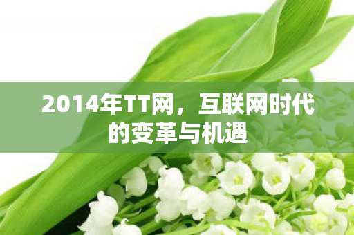 互联网时代的变革与机遇图片