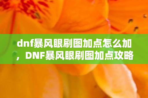 dnf暴风眼刷图加点怎么加图片