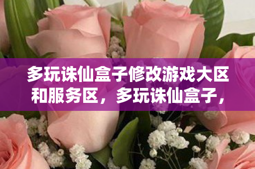 多玩诛仙盒子修改游戏大区和服务区图片