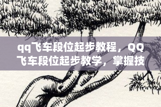 qq飞车段位起步教程图片