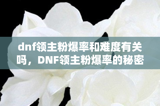 dnf领主粉爆率和难度有关吗图片