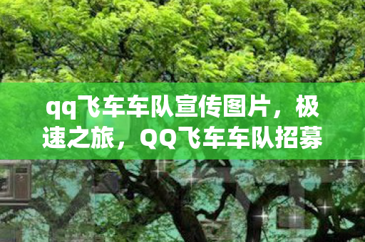 qq飞车车队宣传图片图片