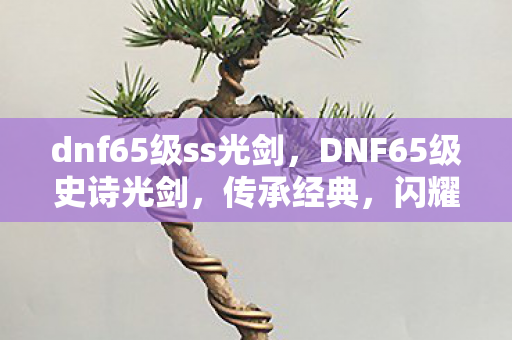 dnf65级ss光剑图片