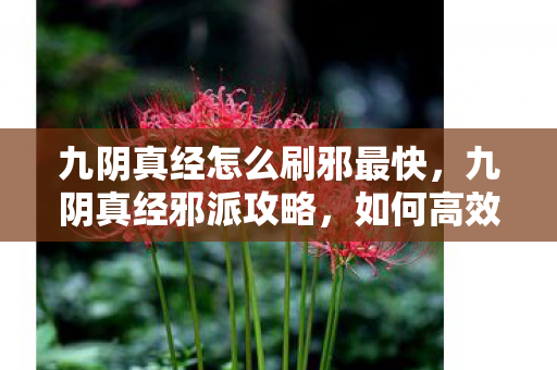 九阴真经怎么刷邪最快图片