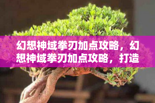 幻想神域拳刃加点攻略图片