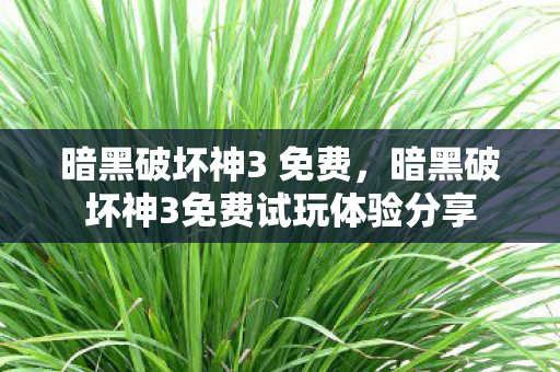 暗黑破坏神3 免费，暗黑破坏神3免费试玩体验分享