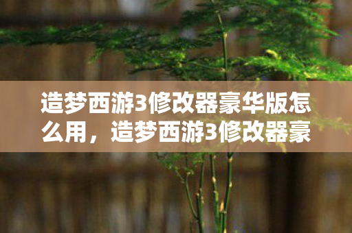 造梦西游3修改器豪华版怎么用图片