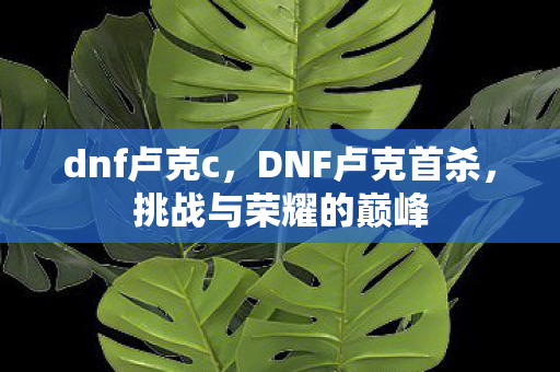 挑战与荣耀的巅峰图片