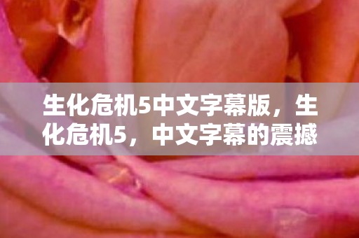 生化危机5中文字幕版图片