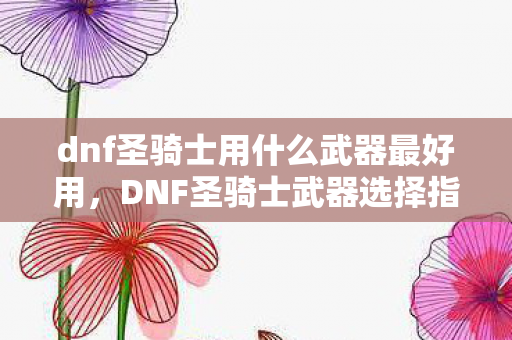 dnf圣骑士用什么武器最好用图片