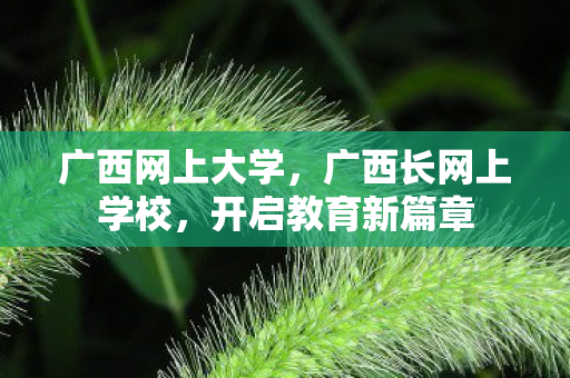 广西长网上学校图片