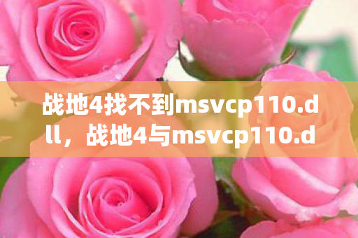 战地4找不到msvcp110图片