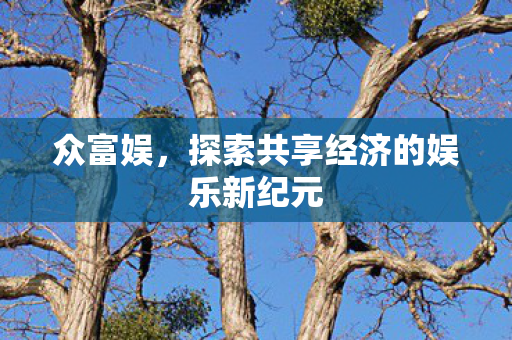 探索共享经济的娱乐新纪元图片