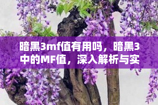 暗黑3mf值有用吗，暗黑3中的MF值，深入解析与实战应用