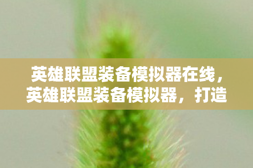 英雄联盟装备模拟器在线图片