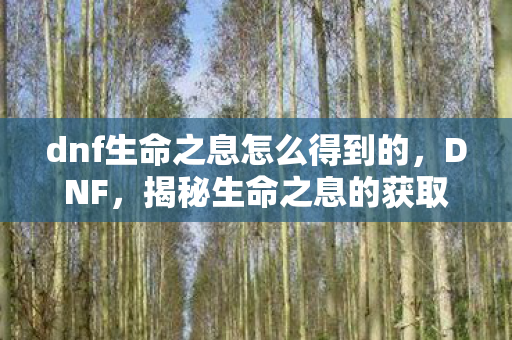 dnf生命之息怎么得到的图片