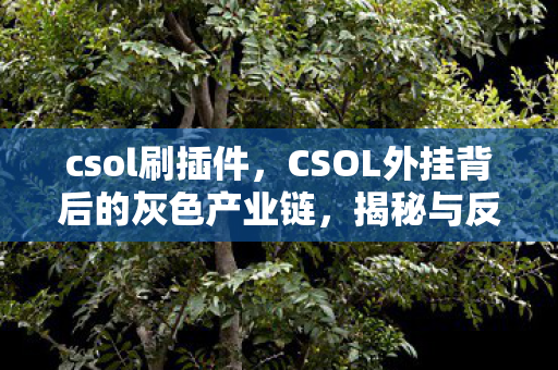CSOL外挂背后的灰色产业链图片
