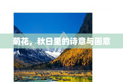 秋日里的诗意与画意图片