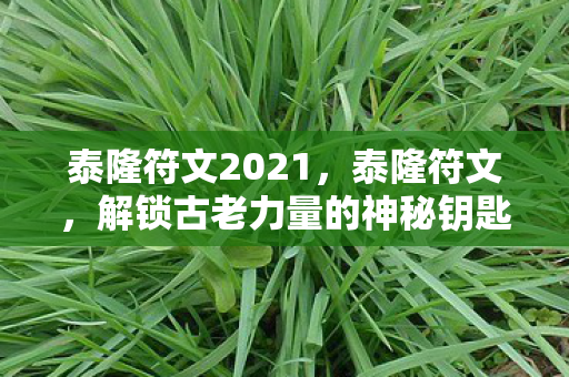 解锁古老力量的神秘钥匙图片