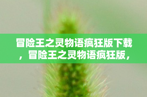 冒险王之灵物语疯狂版下载图片