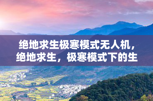 绝地求生极寒模式无人机图片