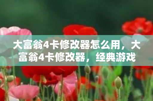 大富翁4卡修改器怎么用图片