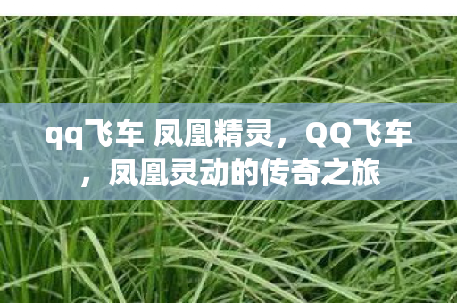 qq飞车 凤凰精灵图片