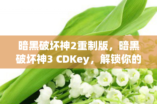 暗黑破坏神2重制版，暗黑破坏神3 CDKey，解锁你的游戏之旅