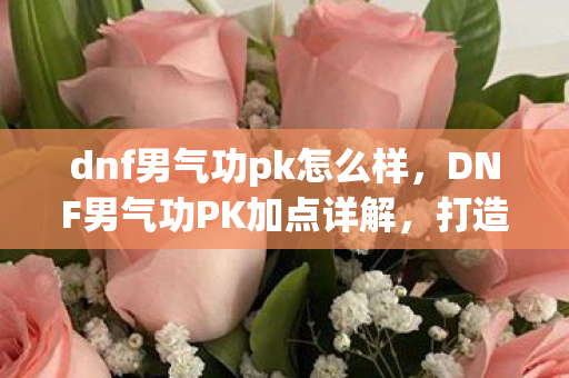 DNF男气功PK加点详解图片