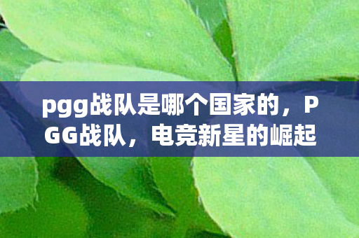 pgg战队是哪个国家的图片