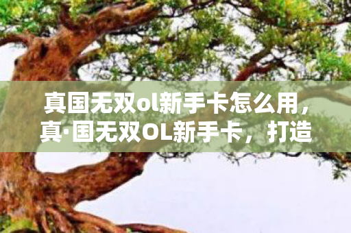 真国无双ol新手卡怎么用图片