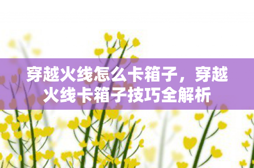 穿越火线卡箱子技巧全解析图片