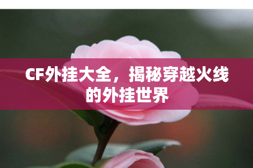 揭秘穿越火线的外挂世界图片