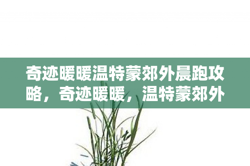 奇迹暖暖温特蒙郊外晨跑攻略图片