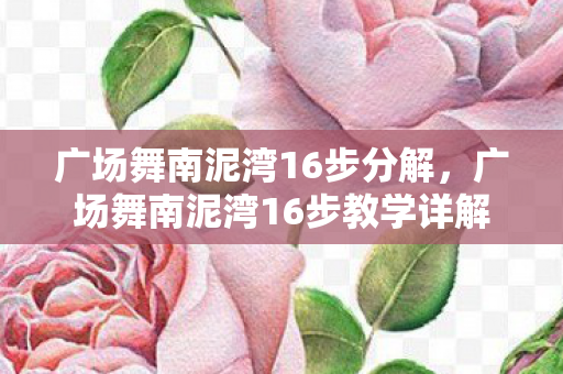 广场舞南泥湾16步教学详解图片