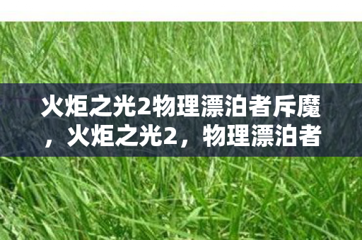 火炬之光2物理漂泊者斥魔图片