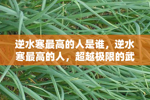 逆水寒最高的人是谁图片
