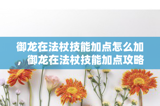 御龙在法杖技能加点怎么加图片
