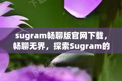 sugram畅聊版官网下载图片