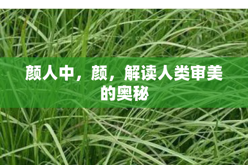 解读人类审美的奥秘图片