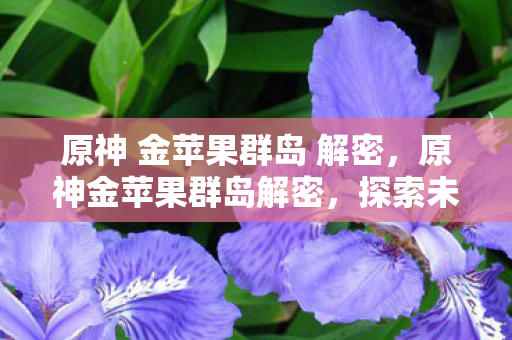 原神 金苹果群岛 解密图片