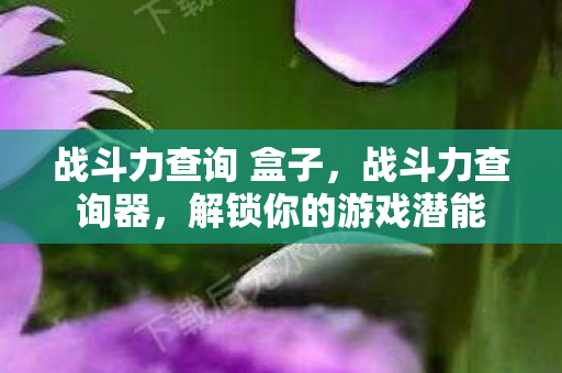 战斗力查询 盒子图片