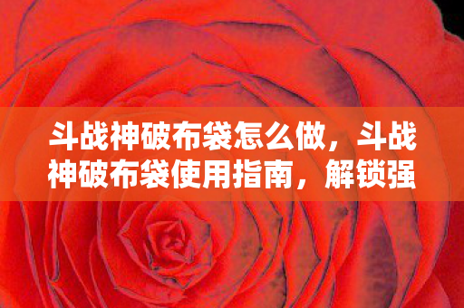 斗战神破布袋使用指南图片