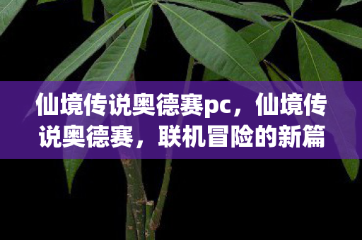 仙境传说奥德赛pc图片