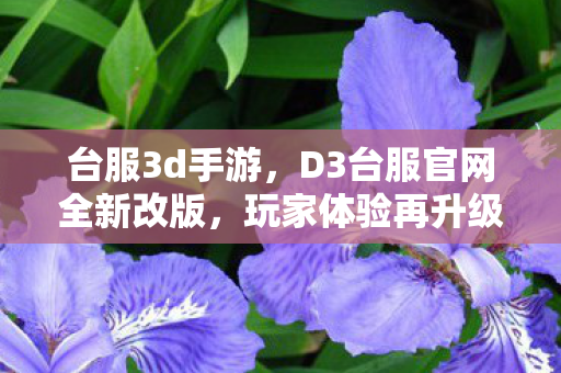 台服3d手游，D3台服官网全新改版，玩家体验再升级！