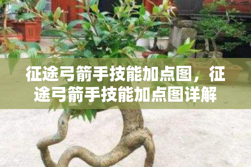 征途弓箭手技能加点图详解图片